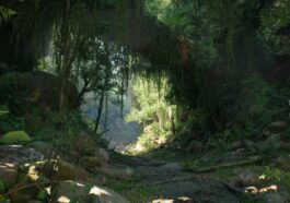 Unreal Engine 5.2 expands toolset for creating next-gen 3D graphics and content
