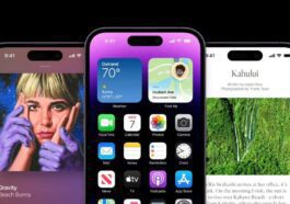 iPhone 14 Pro Max Display