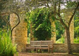 Banc En Bois Jardin Arbre