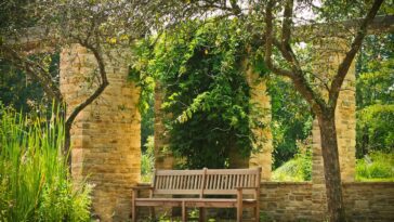 Banc En Bois Jardin Arbre