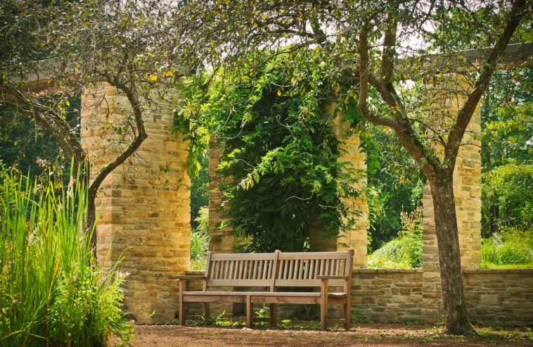 Les bancs dans les jardins: créer des espaces de détente et de contemplation 1 Banc En Bois Jardin Arbre