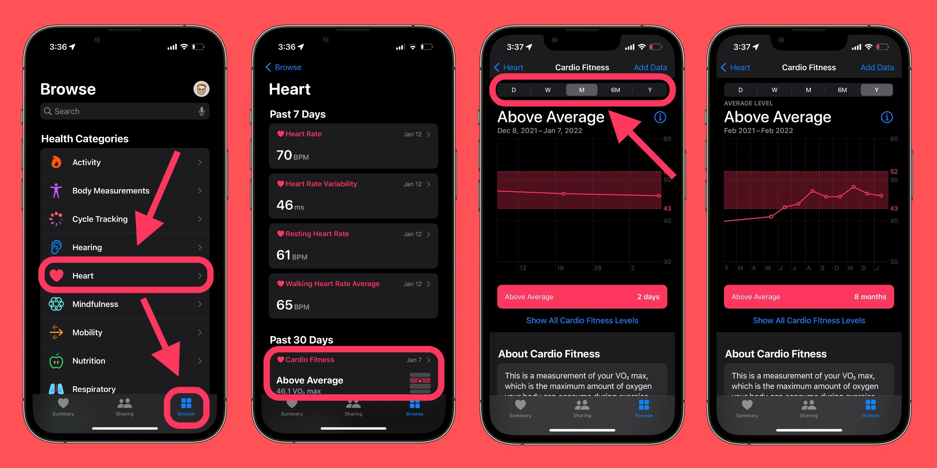 Vérifier la forme cardio sur Apple Watch et iPhone 2