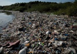 La Terre étouffée par le plastique : les données glaçantes de la Journée mondiale de l'environnement 2023