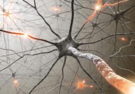 Electric stimulation in the brain improves memory performance in epileptic patients