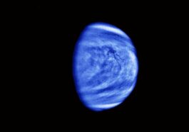 L'atmosphère de Vénus pourrait abriter des molécules de vie