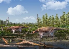 Nouvelle espèce d'ankylosaure découverte sur l'île aux dinosaures : il avait une armure armée de "lames"