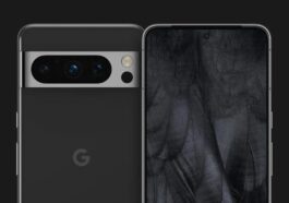 Google Pixel 8 displays