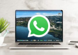 WhatsApp Desktop : pourquoi cette version n'est plus disponible pour l'utilisateur