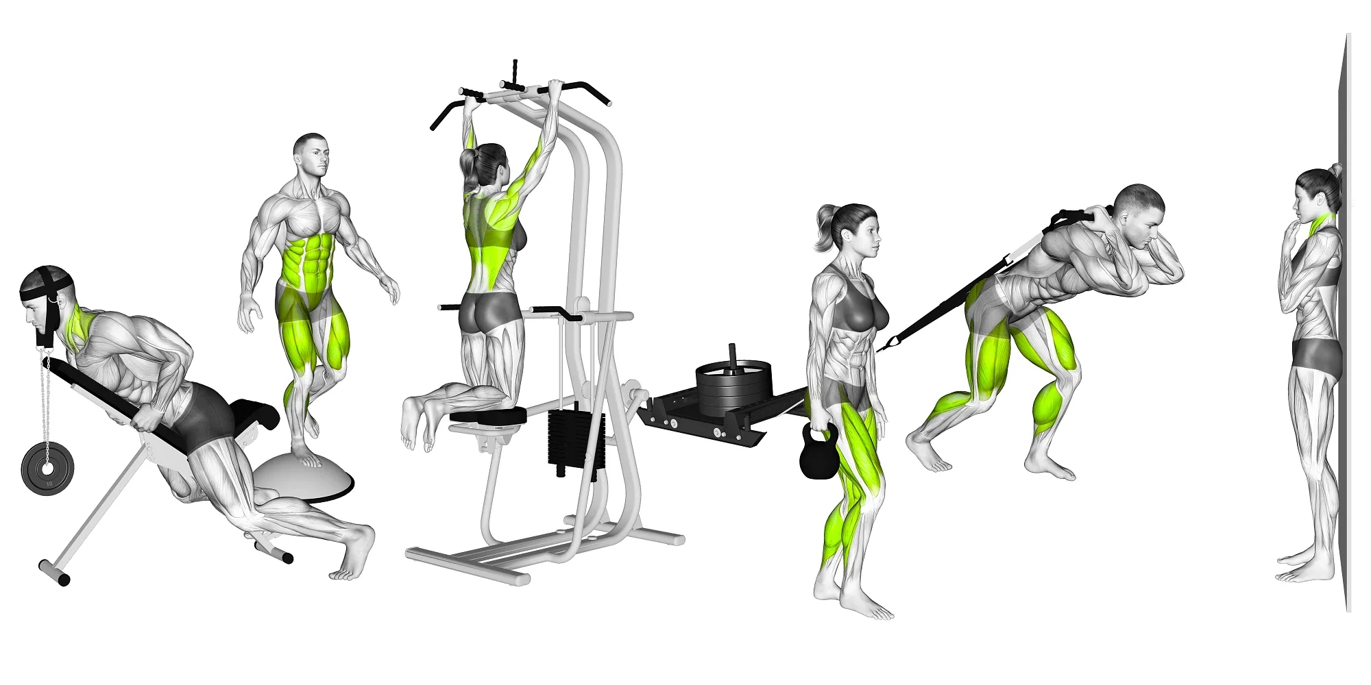 SmartGym pour iOS et Apple Watch reçoit une mise à jour majeure avec 74 nouveaux exercices, Routine Progress, etc. 2 1688057110 810 SmartGym pour iOS et Apple Watch recoit une mise a.webp