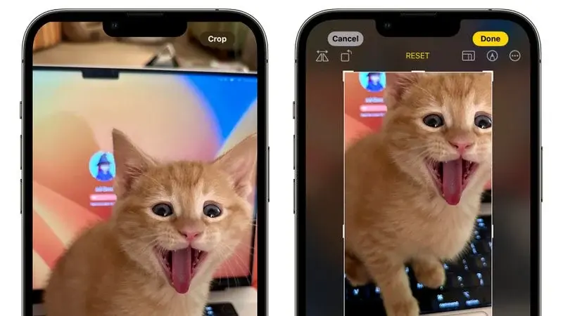 Améliorez votre expérience photographique : préparez-vous pour ces 8 fonctionnalités photo incroyables pour iPhone dans iOS 17 3 Fonctionnalité iOS 17