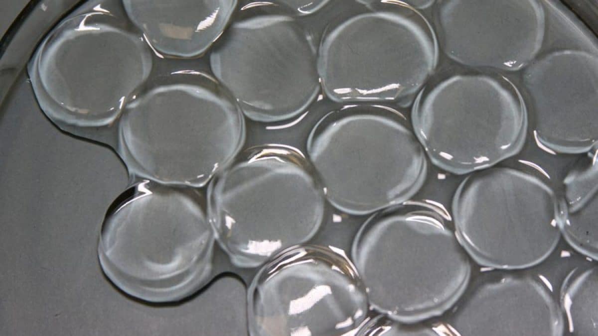 Ce gel peut recueillir l'eau de l'air du désert 2 Ce gel peut recueillir leau de lair du desert