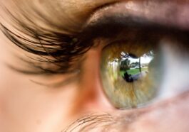 Researchers construct 3D scenes using reflections from eyes