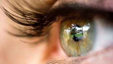 Des chercheurs construisent des scènes en 3D en utilisant les reflets des yeux 23 Researchers construct 3D scenes using reflections from eyes