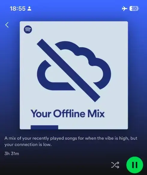 La nouvelle fonctionnalité de Spotify : un tueur de musique YouTube potentiel ? 3 Mélange hors ligne Spotify