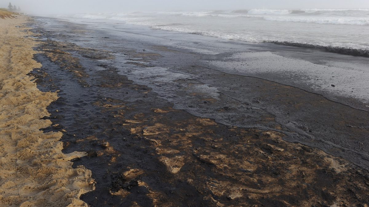 Les subventions au pétrole, à l'agriculture et à la pêche dévastent la planète : la Banque mondiale met en garde 2 Les subventions au petrole a lagriculture et a la peche