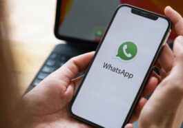 Mise à jour WhatsApp : une nouvelle expérience multimédia arrive bientôt