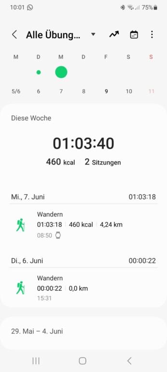 Routes GPX sur Samsung Galaxy Watch : Voici comment fonctionnent l'importation et l'exportation 2 Dans l'aperçu, sélectionnez l'itinéraire que vous souhaitez exporter. (Capture d'écran)