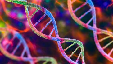 BacCam est une caméra biologique qui transforme l'ADN en un dispositif de stockage d'images 5 BacCam is a biological camera that turns DNA into an image-storing device
