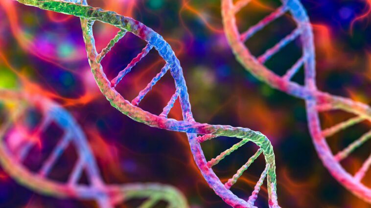 BacCam est une caméra biologique qui transforme l'ADN en un dispositif de stockage d'images 1 BacCam is a biological camera that turns DNA into an image-storing device
