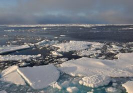 Antarctic sea ice levels are declining faster than ever