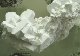 Call the Darwin Award Committee: People are now eating Borax for attention