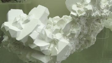 Appeler le Comité du Prix Darwin : Les personnes mangent maintenant du borax pour attirer l'attention 5 Call the Darwin Award Committee: People are now eating Borax for attention