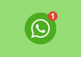 WhatsApp Chats