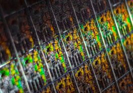 TSMC Arizona chip production delayed from 2024 to 2025