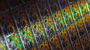 Production de puces TSMC Arizona retardée de 2024 à 2025 26 TSMC Arizona chip production delayed from 2024 to 2025