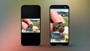 Voici comment utiliser l'outil de recadrage rapide dans l'application Photos de l'iPhone sous iOS 17 20 Here’s how to use quick crop on iPhone Photos app in iOS 17