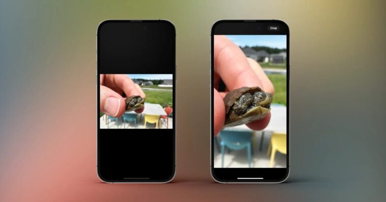 Voici comment utiliser l'outil de recadrage rapide dans l'application Photos de l'iPhone sous iOS 17 1 Here’s how to use quick crop on iPhone Photos app in iOS 17