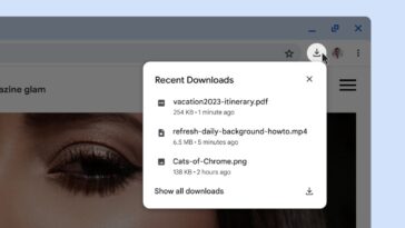 Google Chrome retire officiellement la barre de téléchargement pour une nouvelle interface utilisateur du plateau 28 Google Chrome officially removing the download bar for a new tray UI