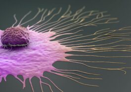 New experimental pill shows promising results in killing many types of cancer