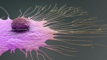 Nouvelle pilule expérimentale montre des résultats prometteurs dans l'élimination de nombreux types de cancer 29 New experimental pill shows promising results in killing many types of cancer