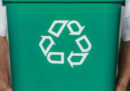 Solarpanels recyceln: Wie geht das eigentlich?