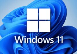 Windows 11 Installation Guide: 5 Ways to Upgrade from Windows 10