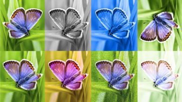 SynthID: The Invisible Mark That Exposes AI-created Images
