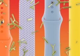 Your Apple Watch band is likely covered in bacteria, new study says
