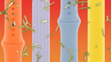 Votre bracelet Apple Watch est probablement couvert de bactéries, selon une nouvelle étude 2 Your Apple Watch band is likely covered in bacteria, new study says