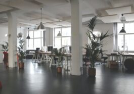 WeWork warns of substantial doubt over future of the company; shares plunge 25%