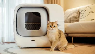 Furbulous Box: la toute première litière automatique pour chats à empactage et scellage automatiques 27 Furbulous Box Litiere Automatique Chat
