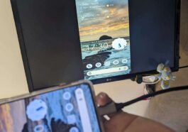 Google Pixel 8 DisplayPort Output
