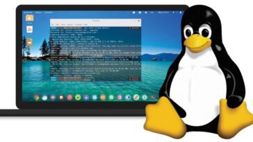Linux: The Perfect Platform for Coders – Here’s Why