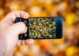 Unlock the Power of Pixel 8 and Pixel 8 Pro with These New Google Photos Features