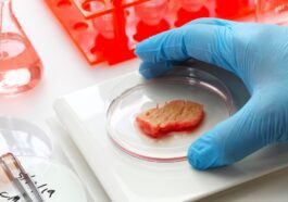 Imagem de carne cultivada que poderá ser solução para astronautas no espaço