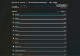 How to Check Data Usage on Windows 11