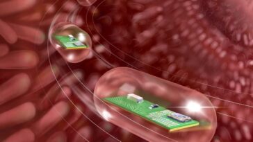 Pilule intelligente surveille la respiration et le rythme cardiaque depuis l'intestin 28 Pílula inteligente. Fonte: Caltech