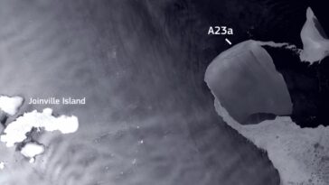 Incroyable : suivez le parcours de cet iceberg géant détaché qui navigue à travers l'hémisphère sud 21 Imagem do icerberg A23a