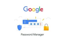 Google Password manager