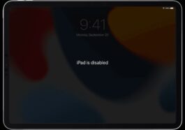 disabled iPad
